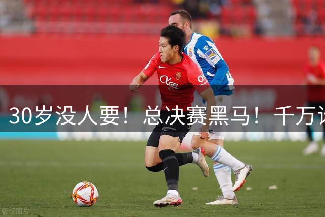 30岁没人要！总决赛黑马！千万诈骗犯！还有机会吗？